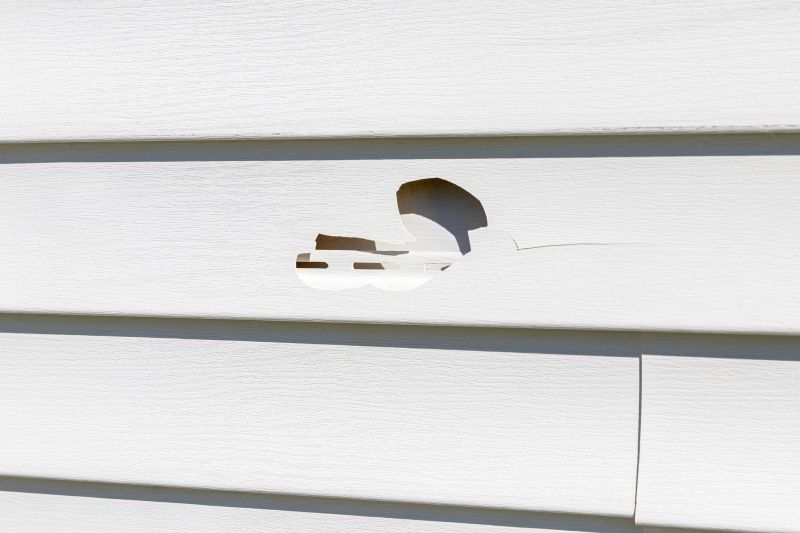 Vinyl Siding Repair - Seam Sealing