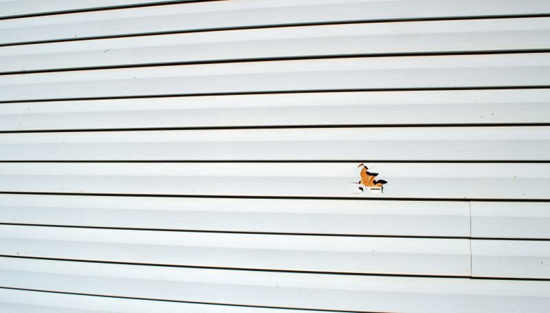 Vinyl Siding Repair Installation - Before