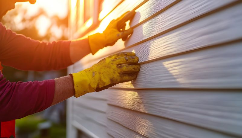Vinyl Siding Repair - Inspection & Final Touch